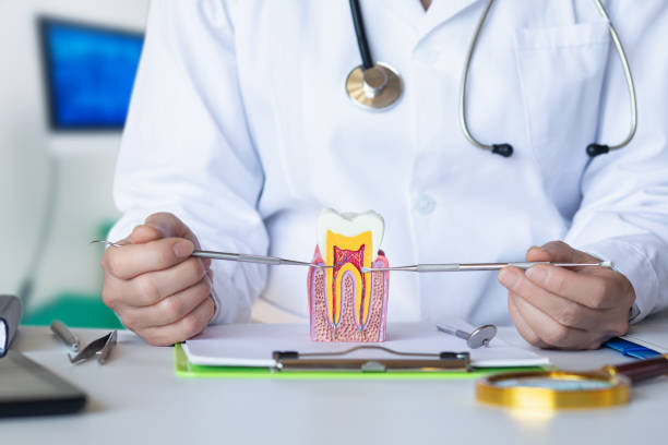 Best Emergency Tooth Extraction in Deville, AL